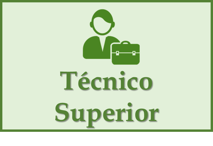 tecnico superior acceso directo